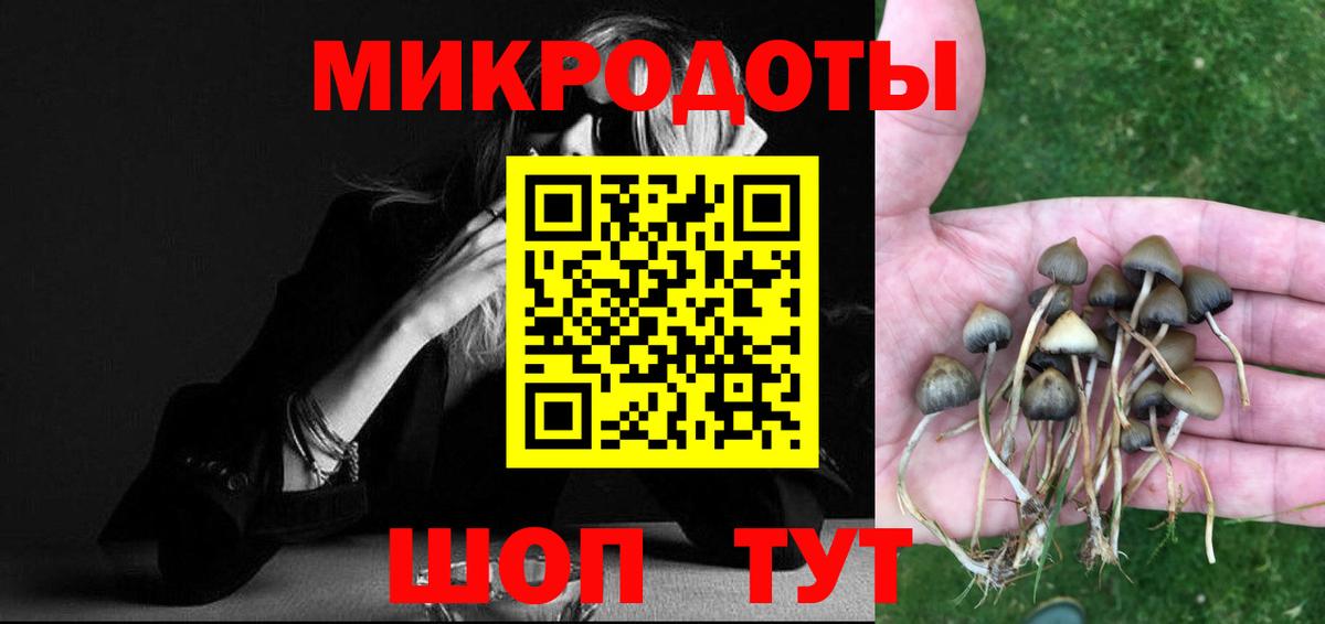 Елец  Галлюциногенные грибы мицелий  Вход с VPN 